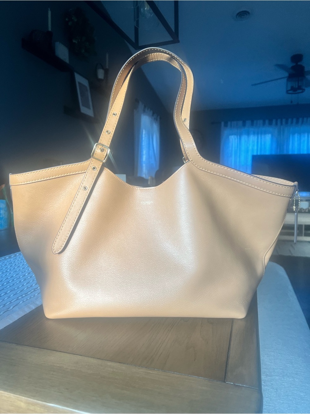 Coach Gramercy Tote Bag in honey brown leather.
